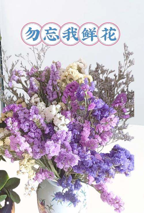 勿忘我app手机版V1.4.4_勿忘我app最新版