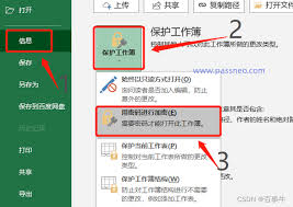 Excel如何设置密码的方法——Excel密码保护的步骤