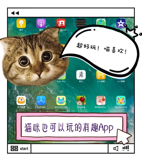 新版猫咪必火2.0.3安卓版手机必备软件,网友:早已安装 新版猫咪必火2.0.3安卓版手机必备软件,网友:早已安装