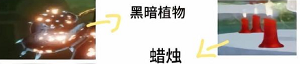 光遇新人玩法秘籍-光遇新手的最全指南