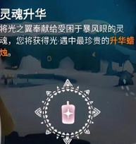 光遇新人玩法秘籍-光遇新手的最全指南