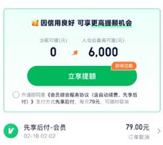 360借条79元会员是否能帮助提高额度-探讨360借条79元会员提额的可能性