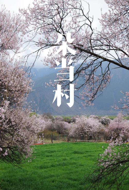 桃花社区视频www版每天在线更新,网友:都是优质大片 桃花社区视频www版每天在线更新,网友:都是优质大片