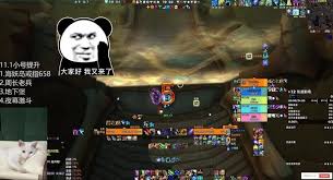如何搭配魔兽世界11.1熊T的毕业装备 - 魔兽世界11.1熊T毕业装备搭配指南