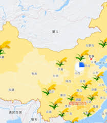 怎么在高德地图里设置稻穗呢？
