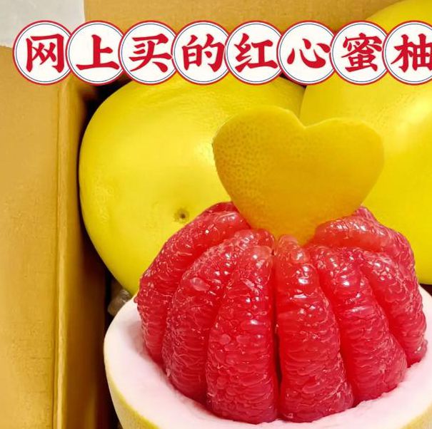 蜜柚1.0最新版,非常受欢迎的直播平台 蜜柚1.0最新版,非常受欢迎的直播平台
