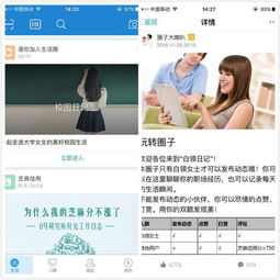 支付宝的圈子功能是否仍然存在？