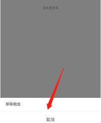 哔哩哔哩如何移除粉丝-哔哩哔哩粉丝列表整理诀窍
