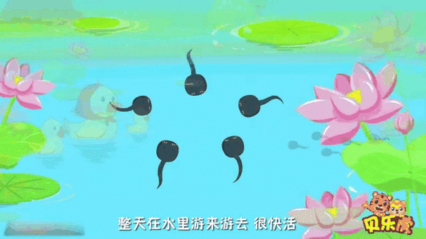 小蝌蚪xkdsp下载大全ios,自动创建精彩视频的最快速最简单的方式 小蝌蚪xkdsp下载大全ios,自动创建精彩视频的最快速最简单的方式