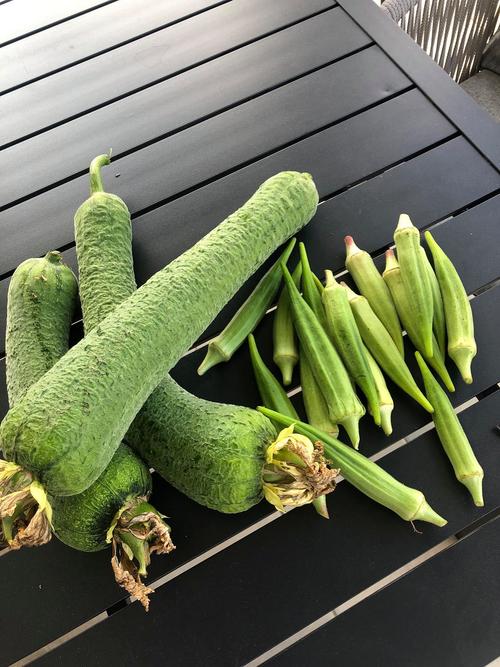 丝瓜黄瓜茄子秋葵草莓开启了vip专属通道,网友:充钱不存在! 丝瓜黄瓜茄子秋葵草莓开启了vip专属通道,网友:充钱不存在!