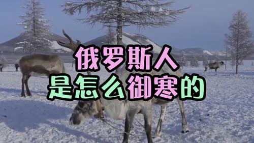 俄罗斯videodese12最新版V6.8.6_俄罗斯videodese12应用 俄罗斯videodese12最新版V6.8.6_俄罗斯videodese12应用