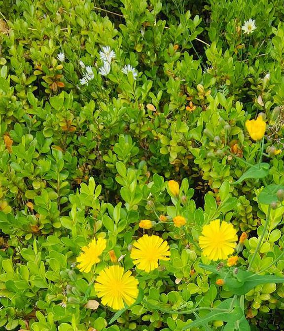 野花社区视频www手机版V5.5.7_野花社区视频www安装下载 野花社区视频www手机版V5.5.7_野花社区视频www安装下载