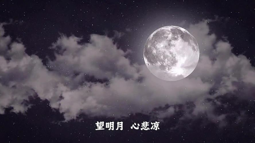 月光视频在线观看免费完整版下载应用V7.4.4_月光视频在线观看免费完整版下载APP下载