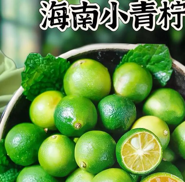 青柠高清视频,体验主播才艺视频k歌表演福利 青柠高清视频,体验主播才艺视频k歌表演福利